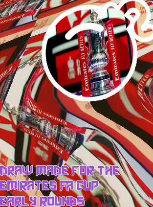 Fa cup draws today