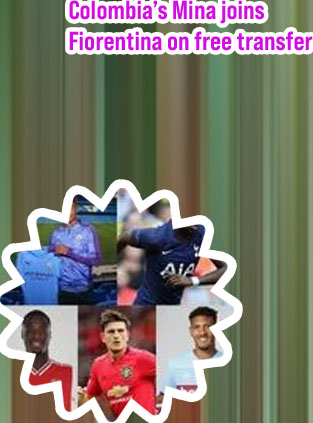 Pl transfers